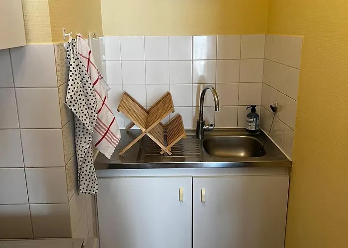 Au Coeur De - Climatisee Διαμέρισμα *